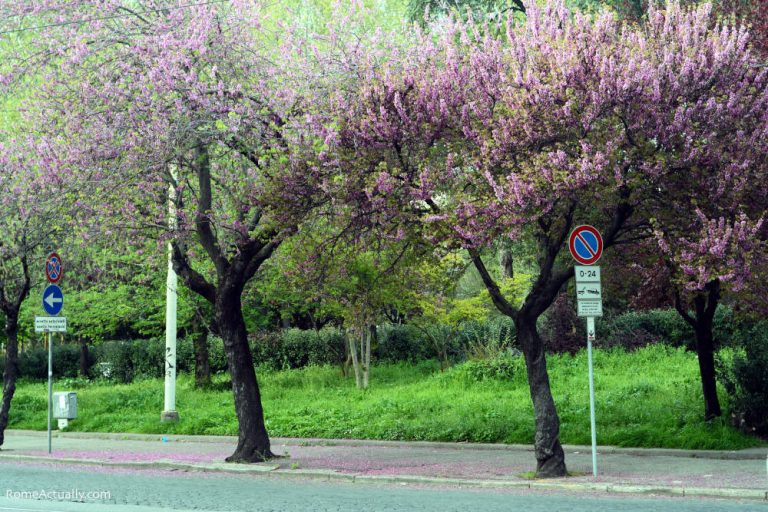 Rome in April - How to Plan a Top Spring Trip